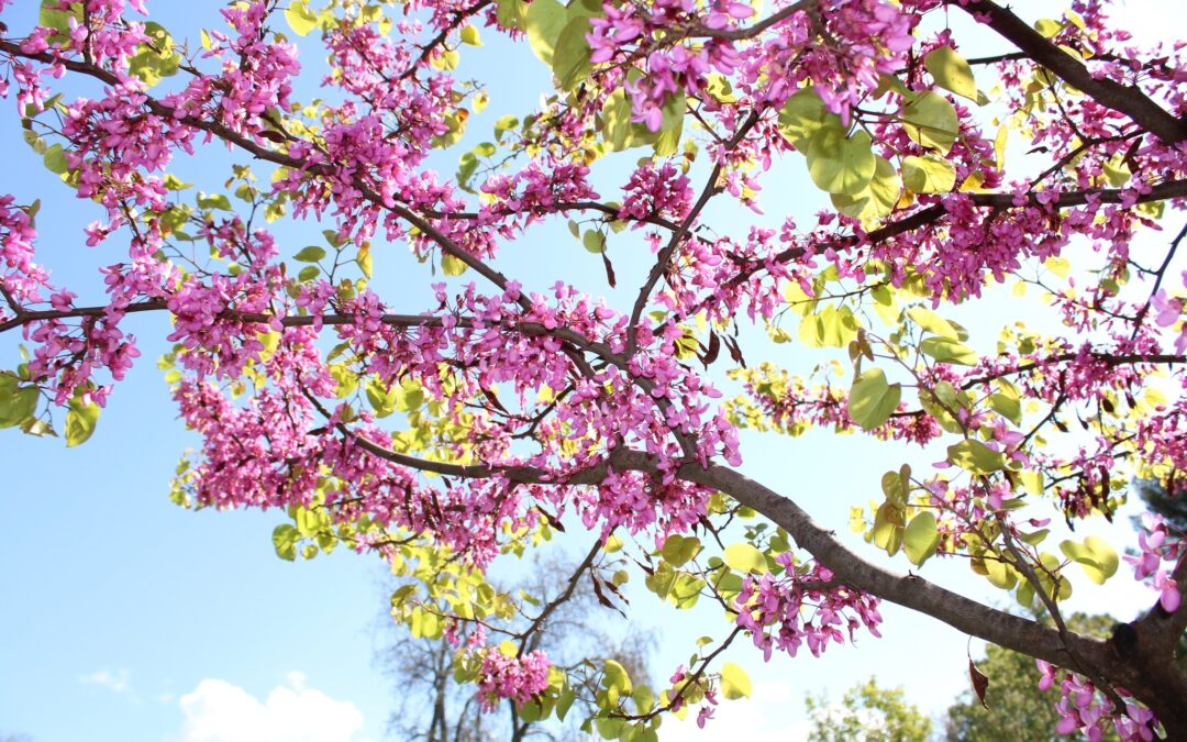 Quelles sont nos ressources ?